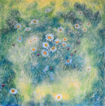 03_BSafran_Marguerites_des-près_6x6_72ppi