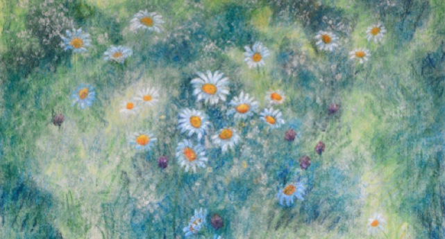 Meadow_Daisies_DETAIL_7x4_72ppi